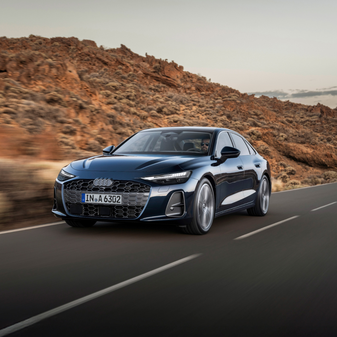 Descripción de la imagen