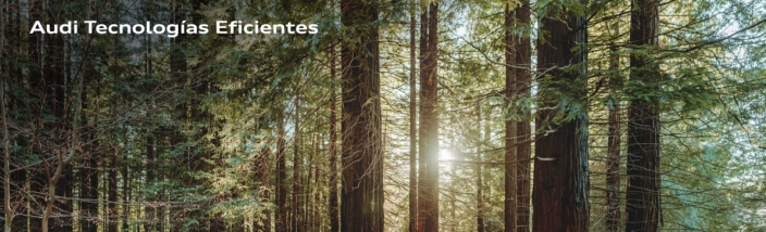 Audi tecnologias eficientes