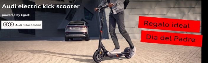 Audi electric kick scooter